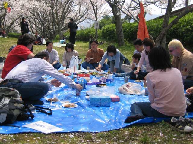 sakura_picknick