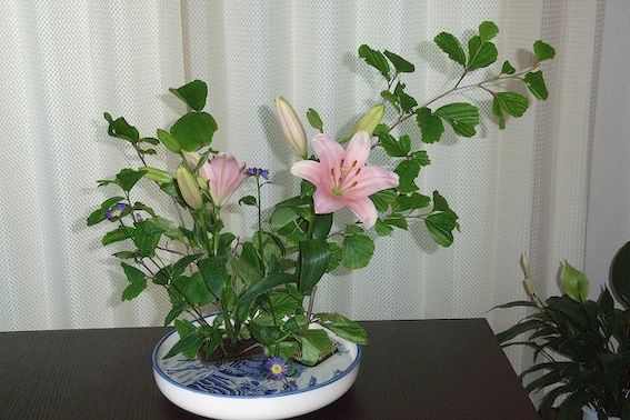 ikebana 019