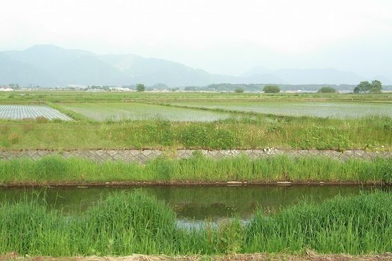 InawashiroLakeWalk 031