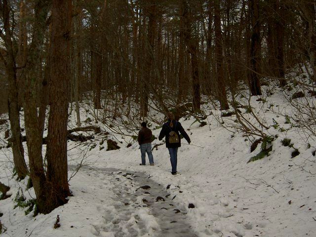 0262 Mitto Nikko Aizu Marjolein op bezoek - 00070